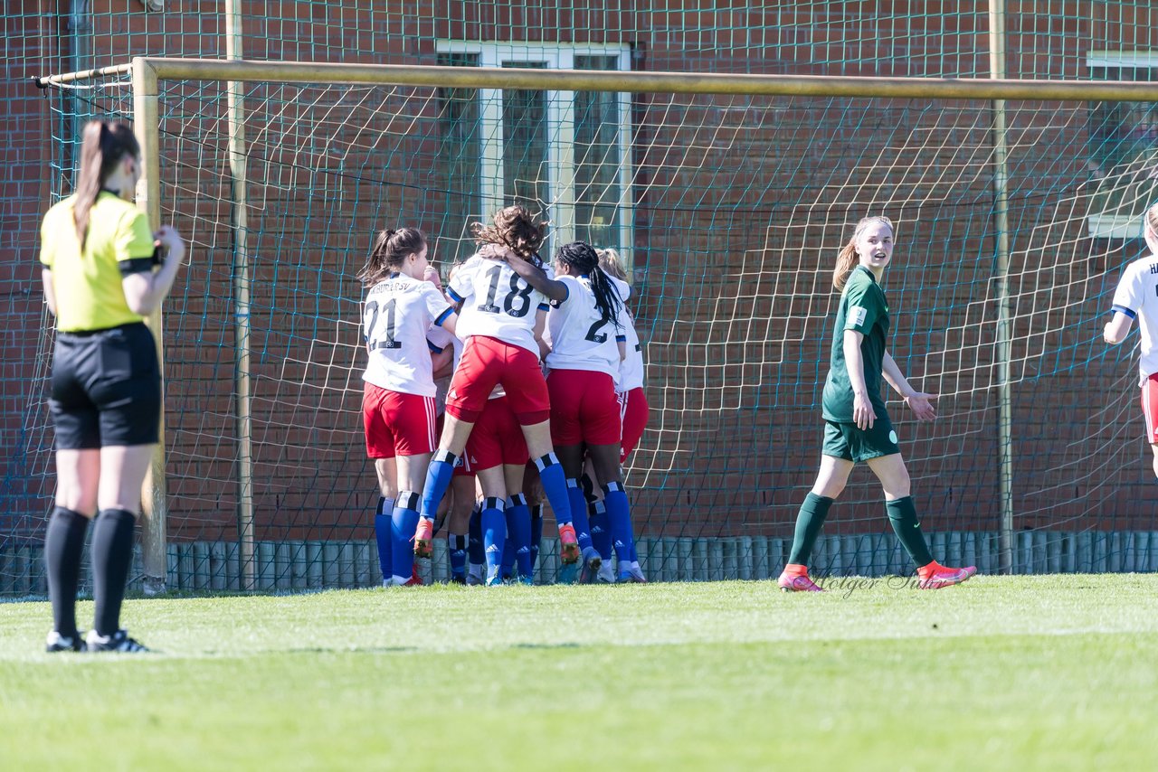 Bild 157 - wBJ Hamburger SV - WfL Wolfsburg : Ergebnis: 2:1